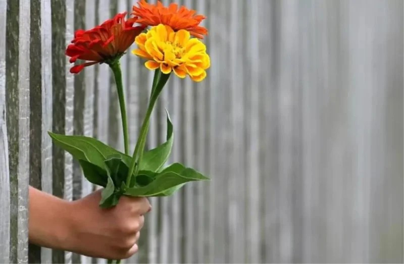 13 Kasım Dünya İyilik Günü: Küçük Bir İyilik Dünyayı Değiştirebilir