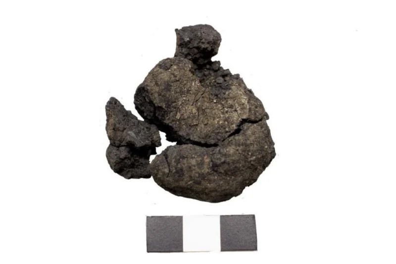 Çatalhöyük’te 8.600 Yıllık Ekmek Keşfi!
