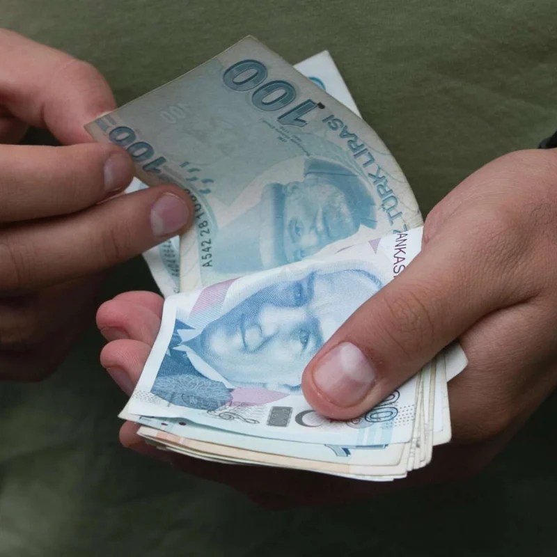 Vatandaşlık maaşı yeni yılda başlıyor!