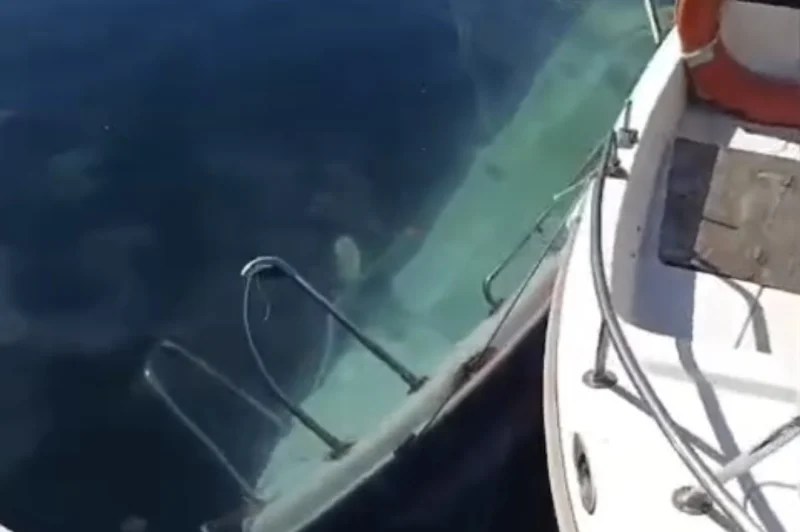 Darıca Marina’da Tekneler Batırıldı İddiası!