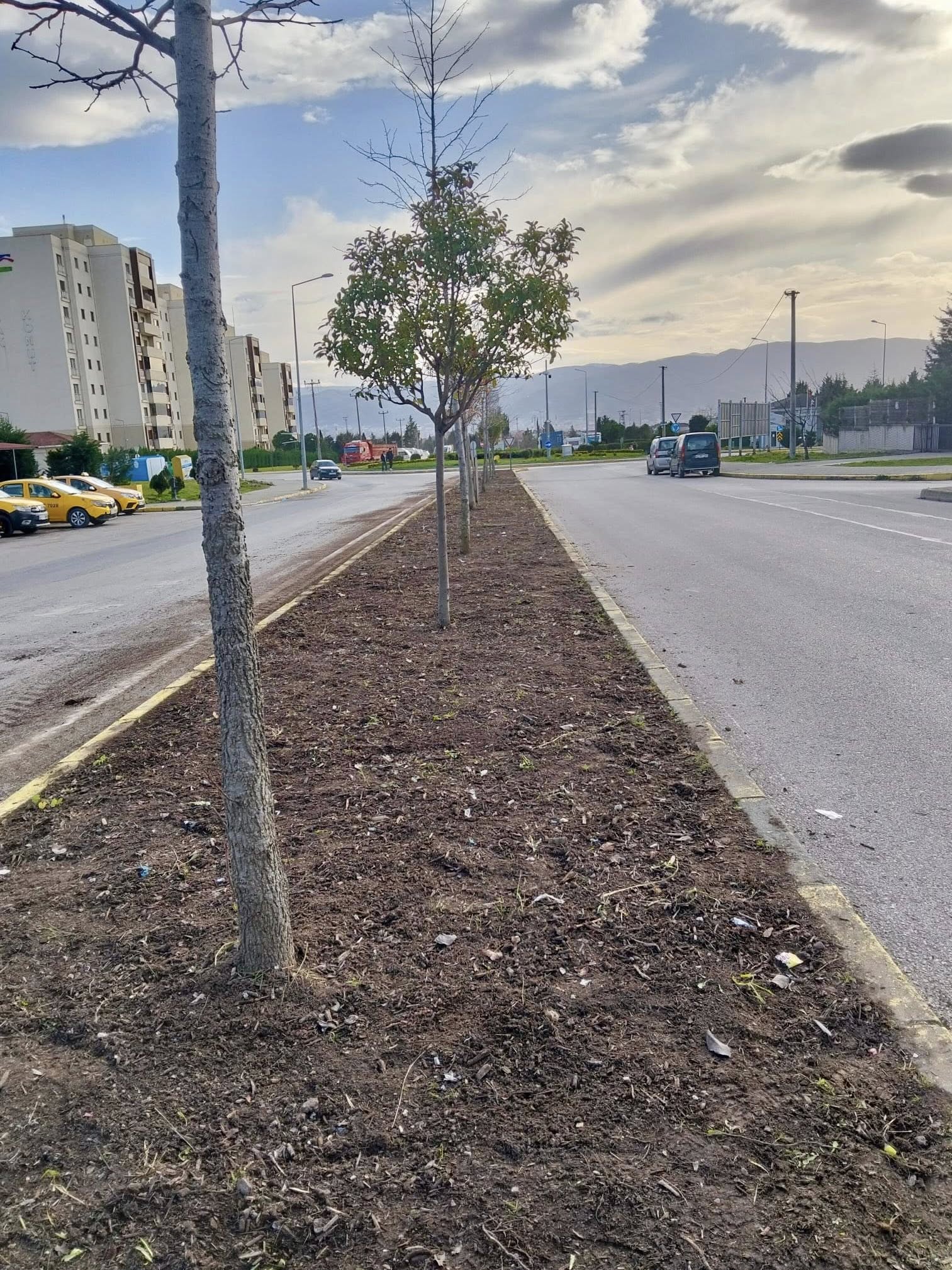 Körfez’de çevre düzenlemesi sürüyor