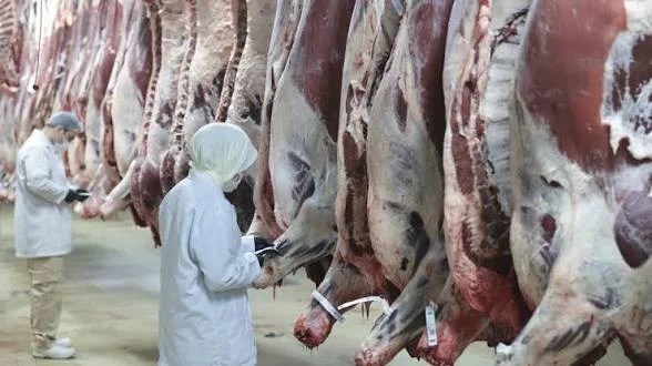 8 ilde ‘kırmızı et’ operasyonu! 30 gözaltı