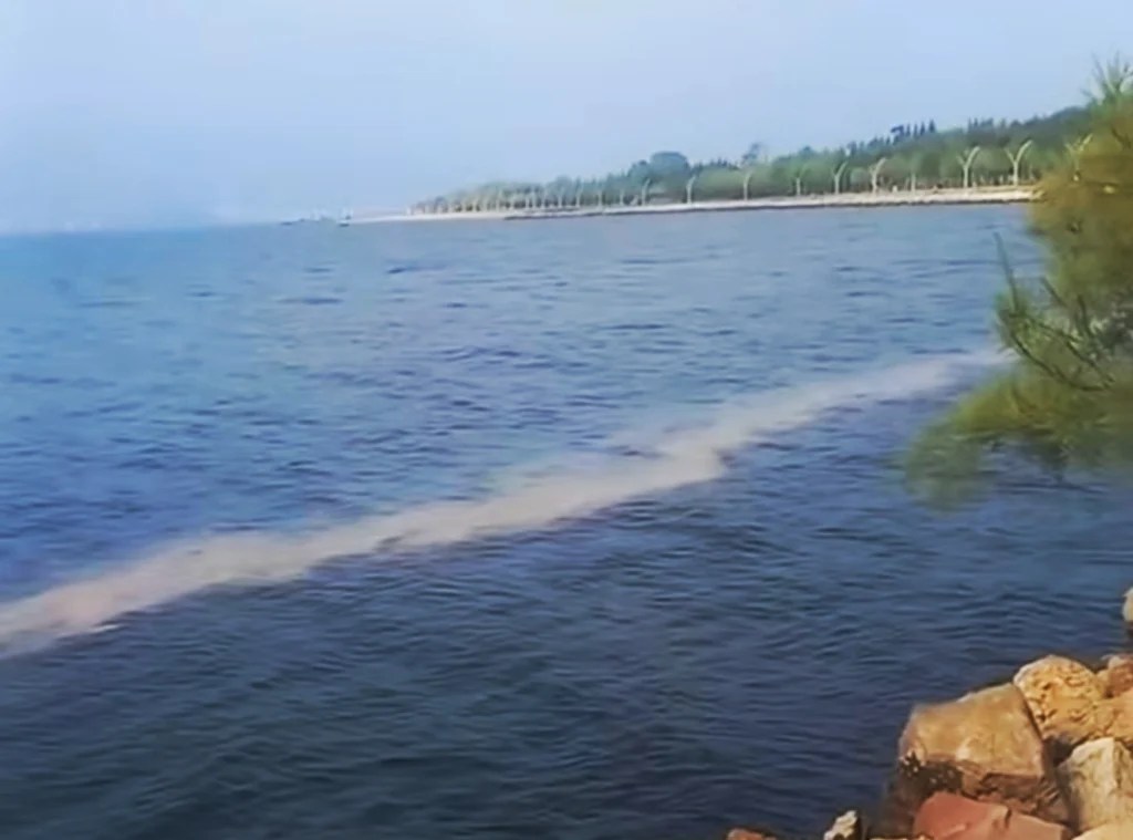 Körfez’de Deniz Yüzeyi Renk Değiştirdi: Mevsimsel Olay