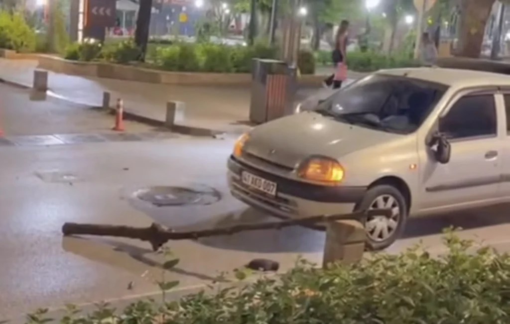 Yürüyüş Yolu’nda ağaç dalı paniği!