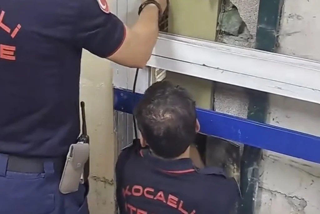 Gölcük’te duvar arasına sıkışan kediler kurtarıldı!