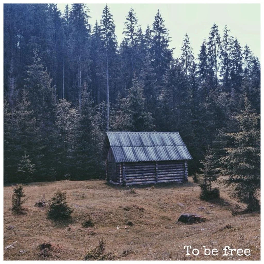T E Morris – To be free