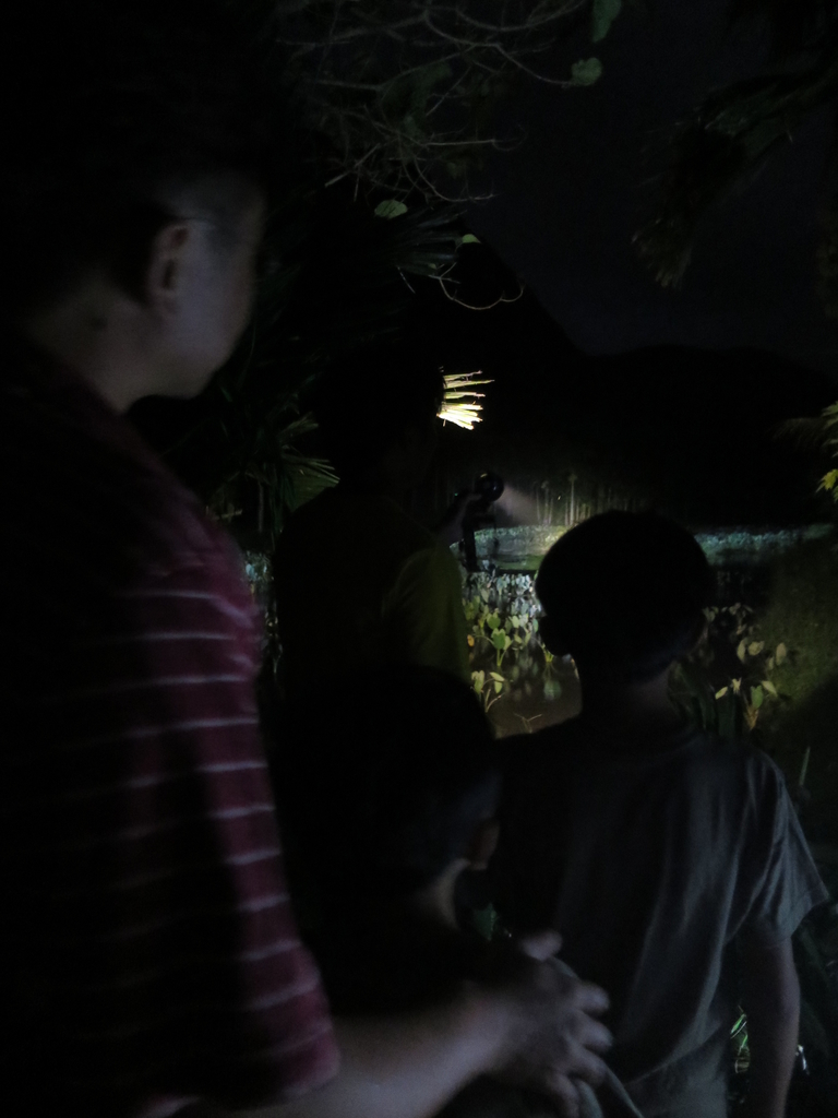 20171005_蘭嶼_夜觀角鴞