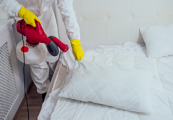 Here is the definitive list of columbus's bed bug exterminators as rated by the columbus, oh community. Experts In Bed Bug Removal Prevent Pest Control