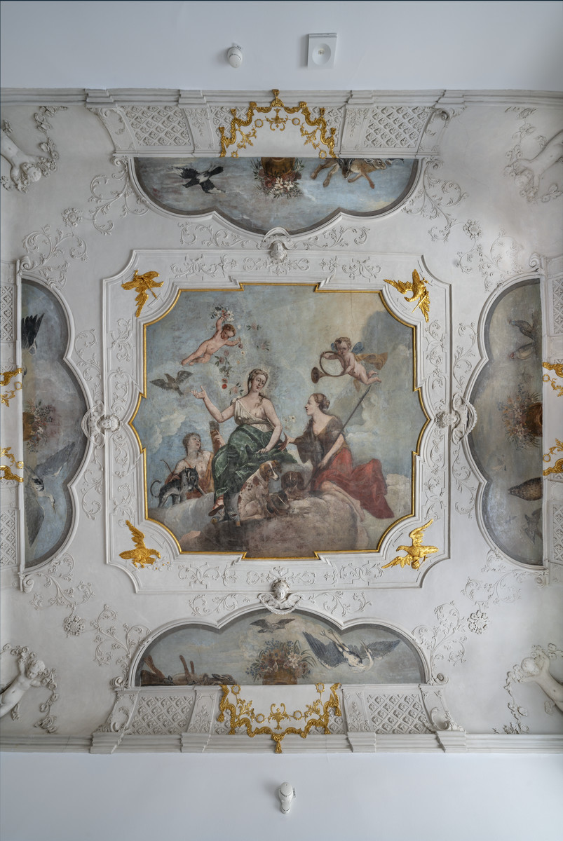 Corpus Der Barocken Deckenmalerei In Deutschland Cbdd