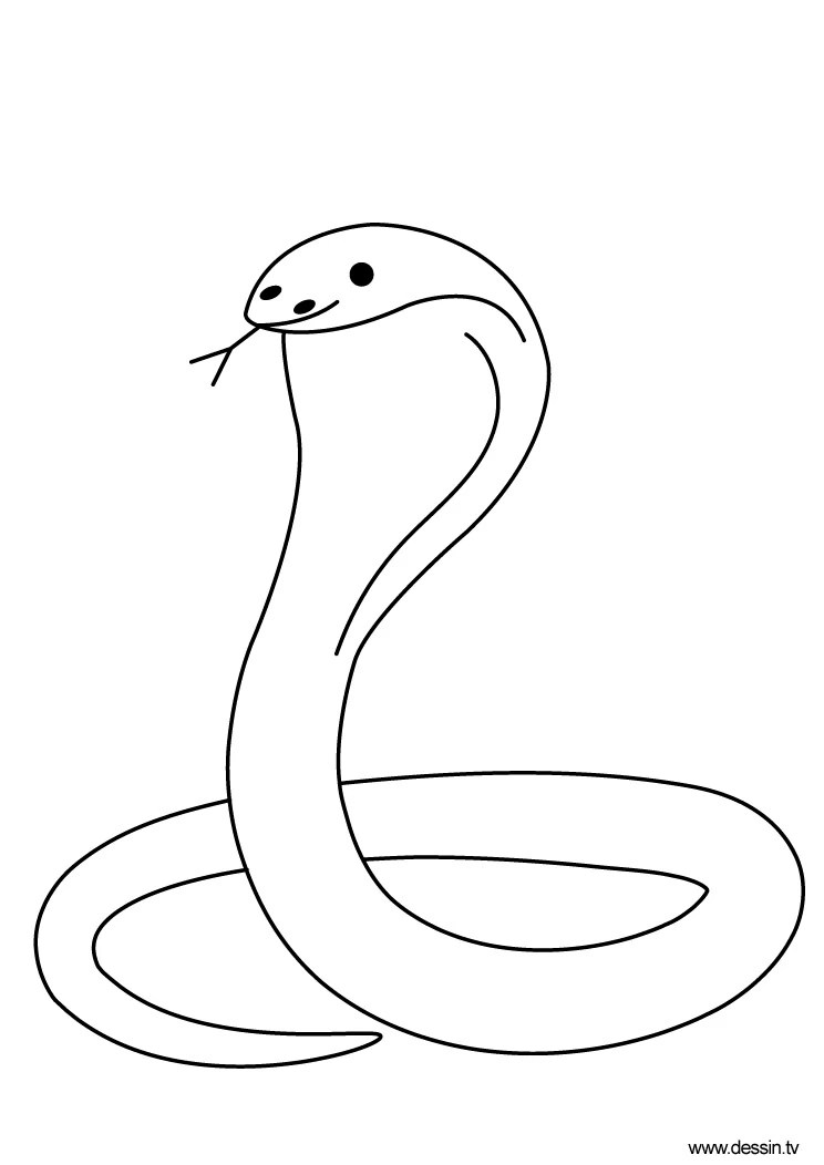 It is relatively easy to draw a king cobra snake because there aren't many complex parts. Drawing Cobra 3227 Animals Printable Coloring Pages