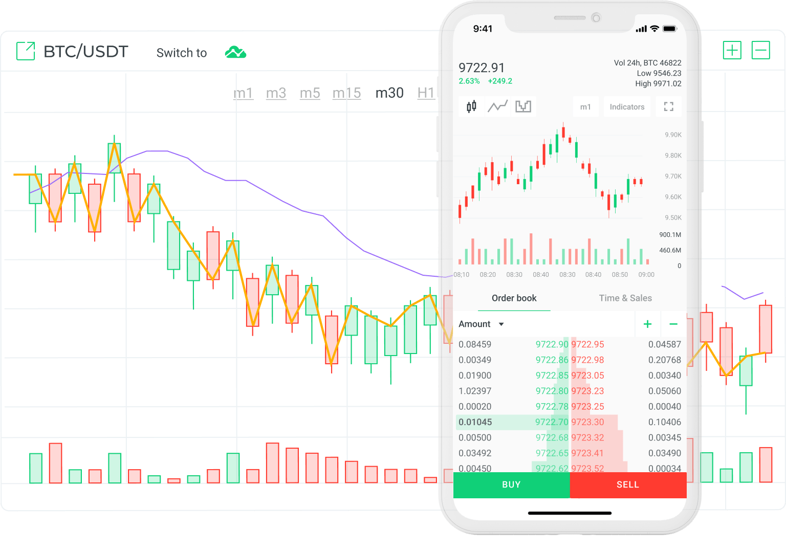 If you believe that the price of bitcoin will rise against the us dollar, you will place a buy order on btc/usd. Changelly Pro