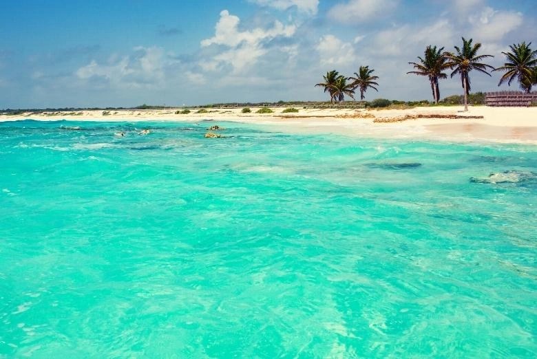 Tripsavvy / jamie ditaranto cozumel is known primarily as a diving destination, but it does have some. Best Snorkeling In Mexico Coral Reefs Cenotes Beaches