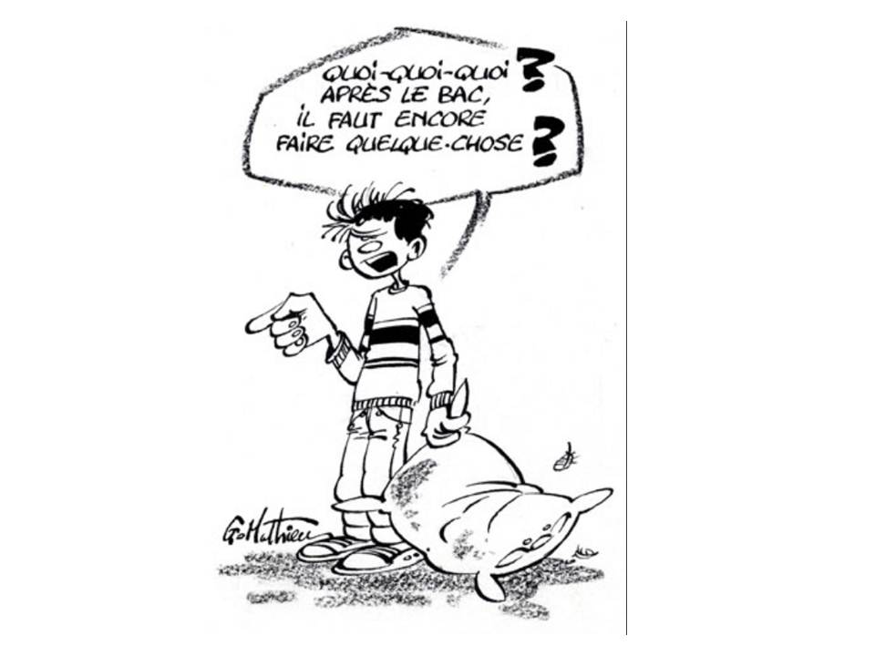 Que Faire Après Le Bac . Que Faire Apres Le Bac Mon Svt Cours