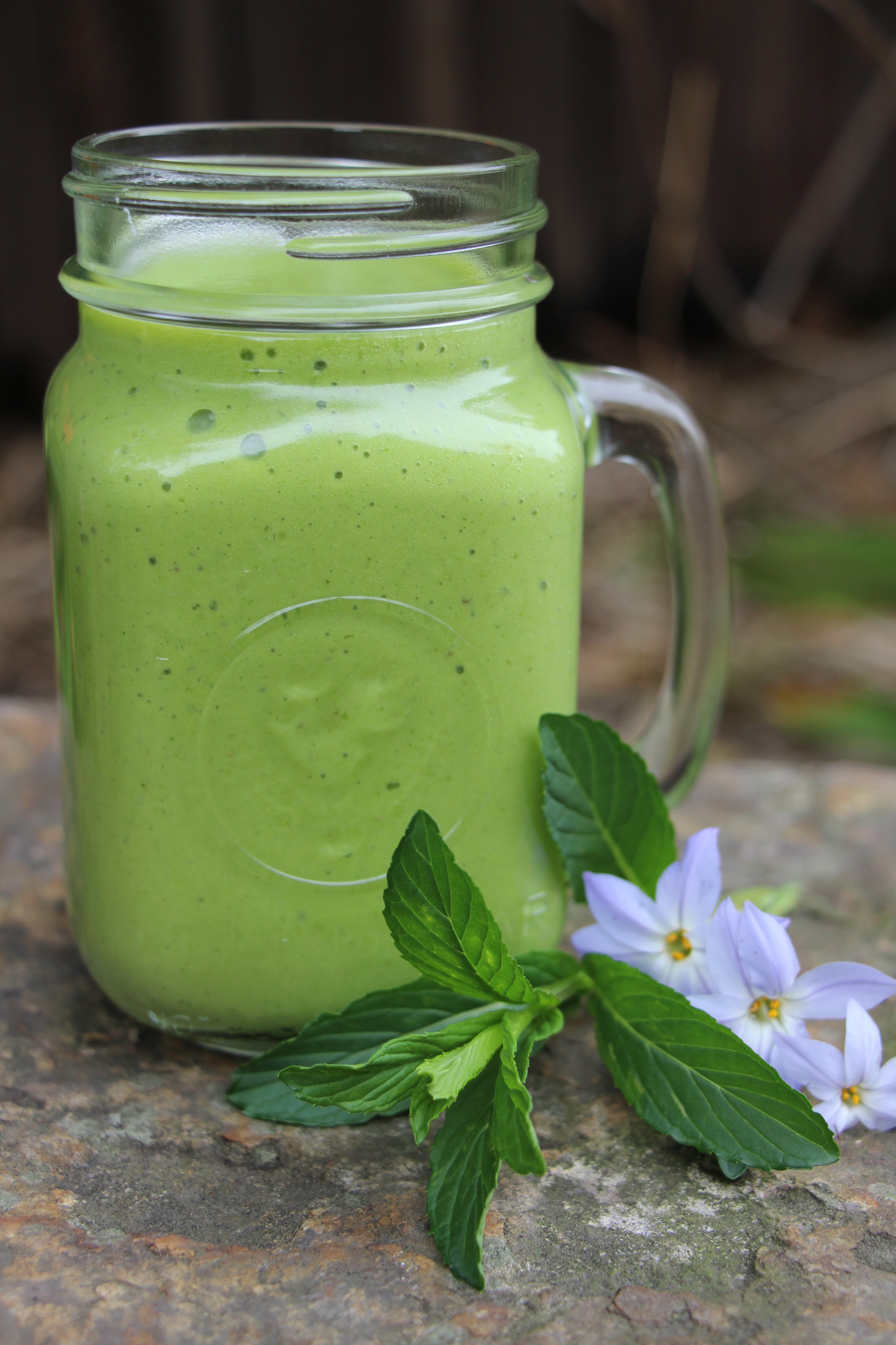 Simple Green Smoothie Project Tree Collard