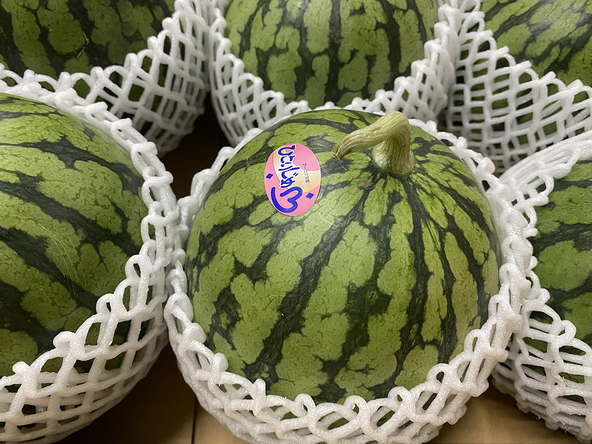 鹿児島県産 小玉すいか ピノガール | 業務仕入・見積なら食品卸売の