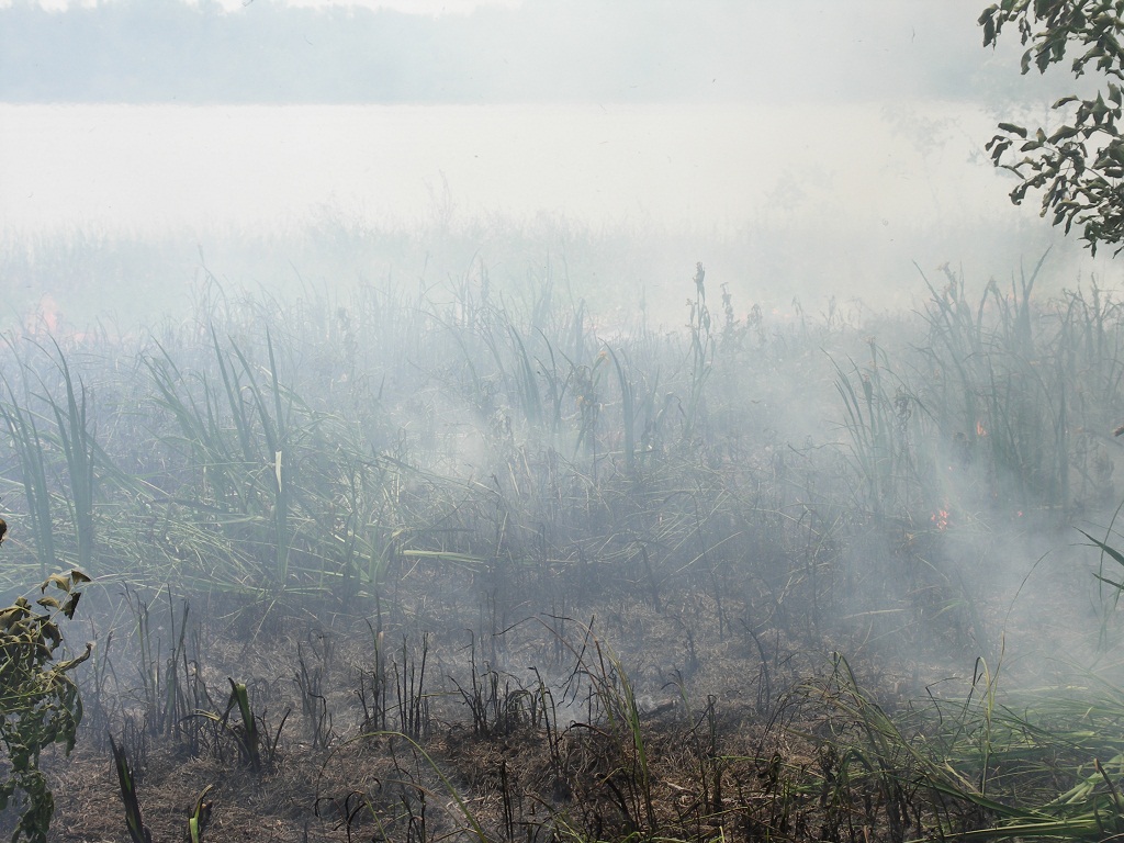 Проран горит | Город на реке Самара