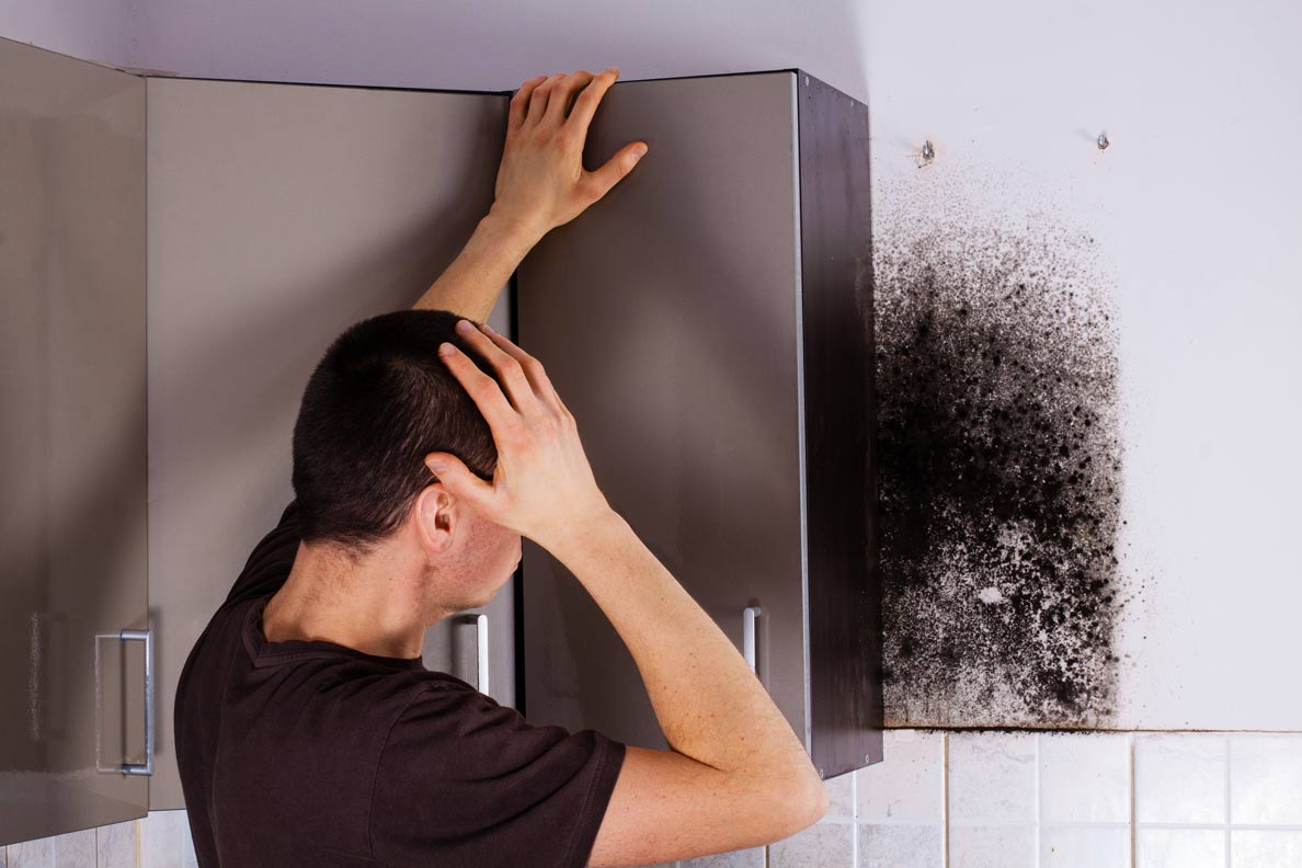 There’s no need to rush out and immediately spend a lot of money on mold testing. Mold Inspections Testing In Pompano Beach Deerfield Beach Fl
