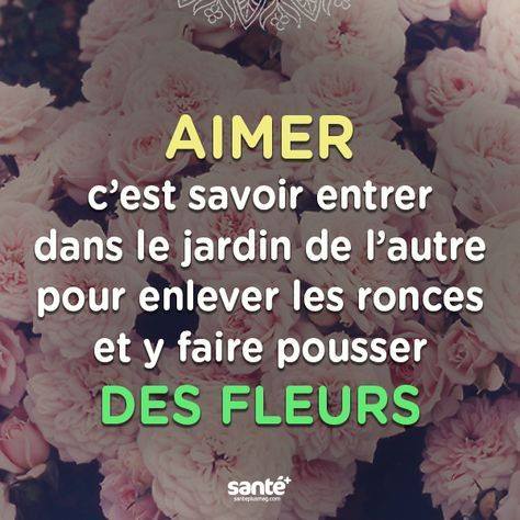« il n'y a pas d'amour sans peine, et pourtant, depuis l'aube du temps les gens s'aiment. Proverbe Proverbe Et Citation Par Theme A Lire De Belles Citations D Amour Et Proverbes Francais