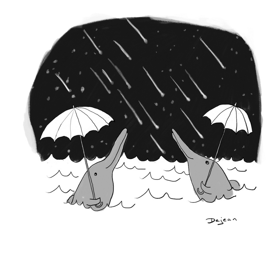 Fine art print, meteor shower, astronomical drawings, astronomy gift. Meteor Shower The Provincetown Independent