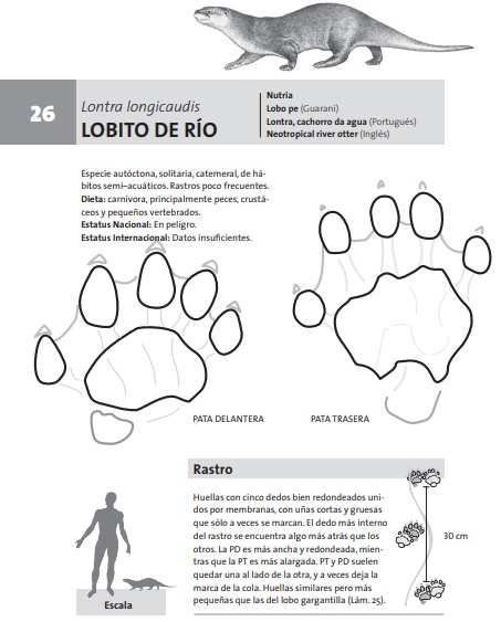 Los Que Volvieron La Naturaleza Dice Presente En El Rio Bermejo Proyungas