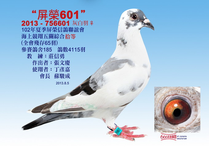 屏榮賽鴿協會屏榮信鴿聯誼會 公正 公平 公開 Napf