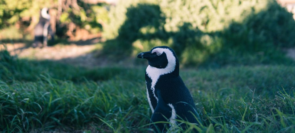 Here is a concrete example on a page load. How to Enable Lazy Loading for WordPress Comments - PublishPress
