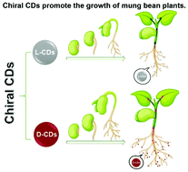 Copyright © 2021 investorplace media, llc. One Step Hydrothermal Synthesis Of Chiral Carbon Dots And Their Effects On Mung Bean Plant Growth Nanoscale Rsc Publishing