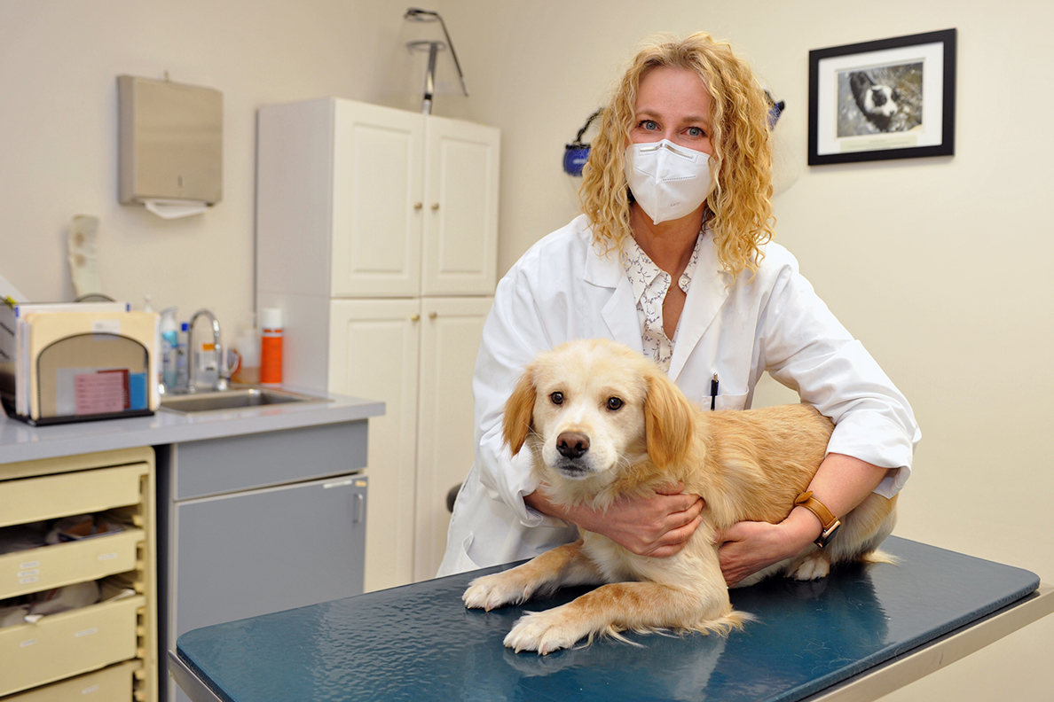 WSU veterinarian performs potential life-saving surgery - Vimarsana News