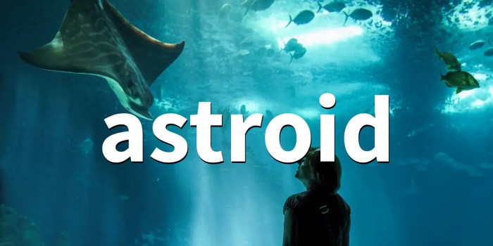 Asteroid Launcher Lets You See How an Asteroid Might Impact You If It ...