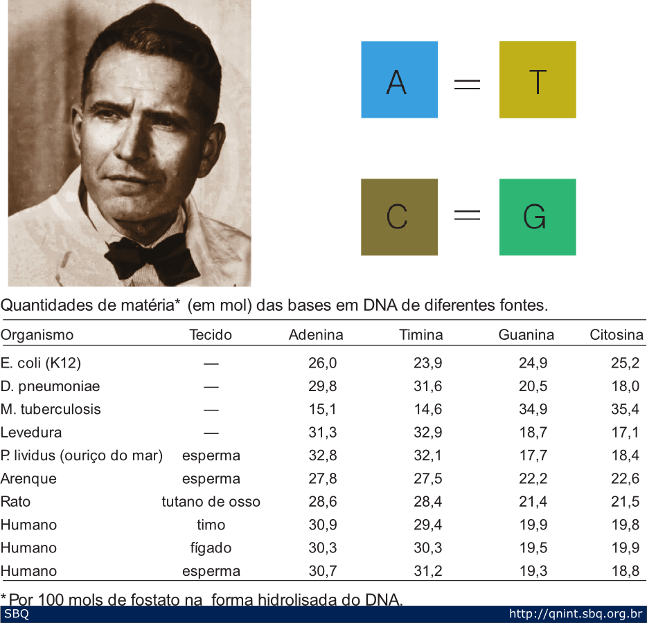 A Descoberta do DNA Espaço do Profº. Flávio