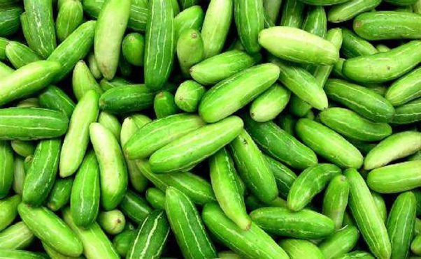 Malay to english meaning :: What Is The English Of Kundri A Vegetable Quora