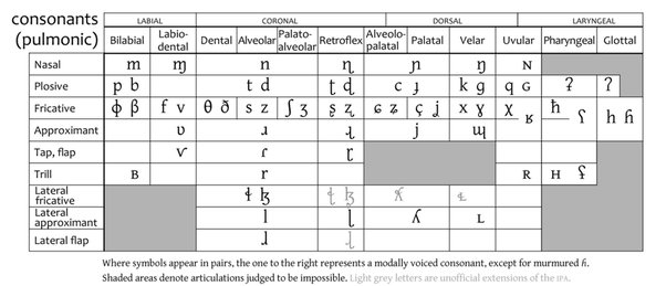 In fact, paul dennison states that the alphabet 8s and letter formation should not be attempted until the learner has integrated lazy 8s in both . How Would You Redesign The Latin Alphabet Would You Change How The Letters Look Would You Add Or Remove Letters Quora
