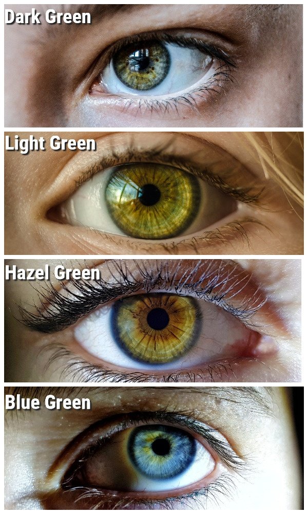 behind these hazel eyes adelaide city optometrist - eyeshadow colors that bring out hazel eyes makeupviewco | eye color chart hazel and hazel