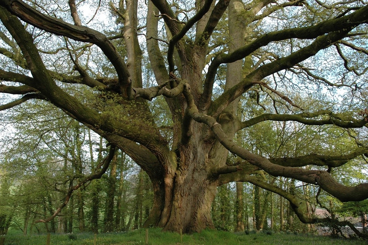 What do you do when you work very hard for something but you still don&rsquo;t  get results? - Quora