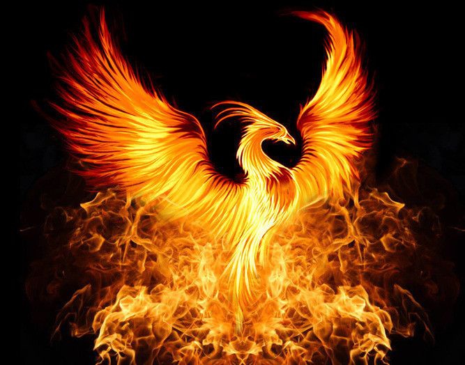 Apakah Bahasa Indonesia Nya Burung Phoenix? - Quora 524_X_667_jpg