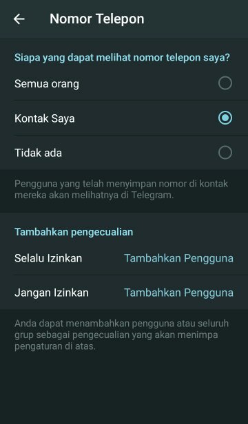 Apa perbedaan aplikasi Telegram dan Telegram X? - Quora