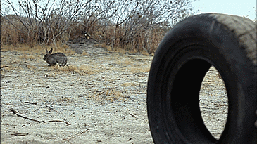 Apr 11, 2022 · goodyear tire & rubber company diseñó y fabricó llantas sin aire para prolongar su vida útil y reducir las tareas de mantenimiento. Que Es Lo Mas Absurdo Que Has Visto En Una Pelicula Quora
