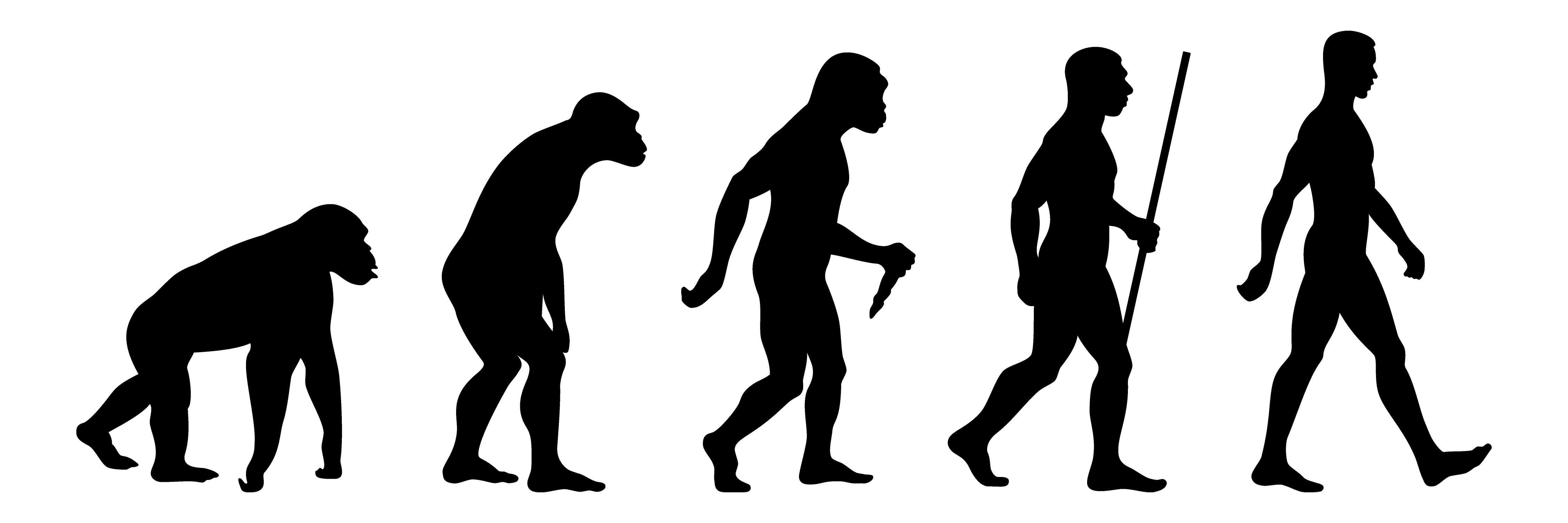 Mengapa kamu menolak/menyetujui teori evolusi Darwin? - Quora