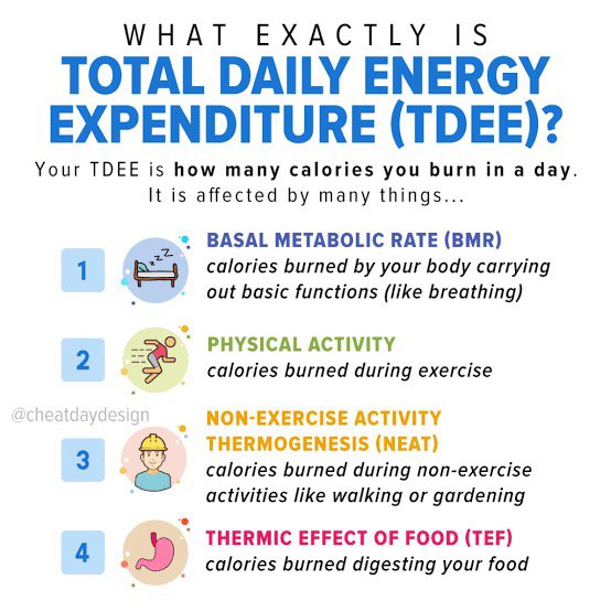Counting calories isn't usually needed to lose weight on a low carb eating plan. What Is Most Easy Calorie Burning Exercise In Which You Don T Need To Be Tired To Burn Plenty Of Calories Quora