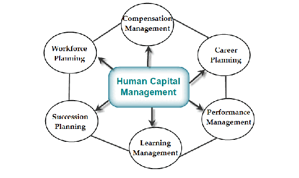 Apa perbedaan konsep human resource dan human capital? - Quora