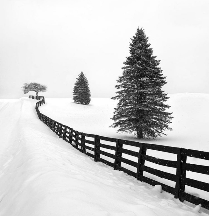 Apakah layak untuk berimigrasi ke Kanada dari India? - Quora