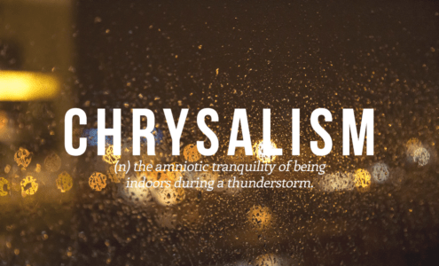 The amniotic tranquility of being indoors . What are some uncommonly used and beautiful words you have
