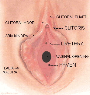 Mengapa wanita zaman sekarang rata-rata tidak perawan? - Quora