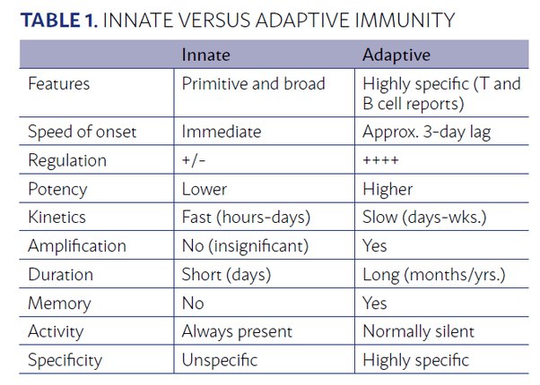 Apa kerugian jika hanya memiliki sistem imun adaptif? - Quora