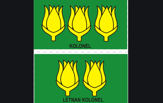 Apa itu atau arti &lsquo;dandim&rsquo;? - Quora