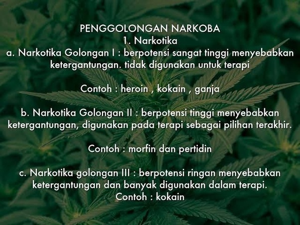 Psikotropika Golongan 2 Contoh