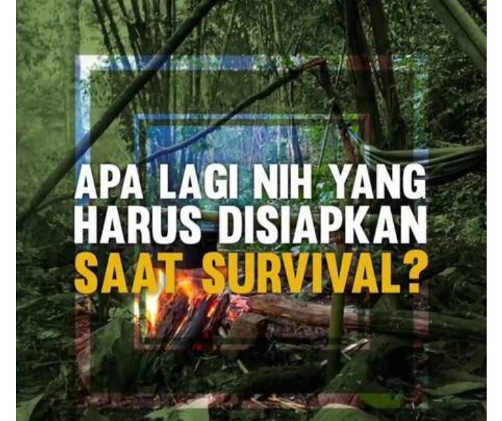 Dapatkah kamu bertahan hidup di tengah hutan? - Quora