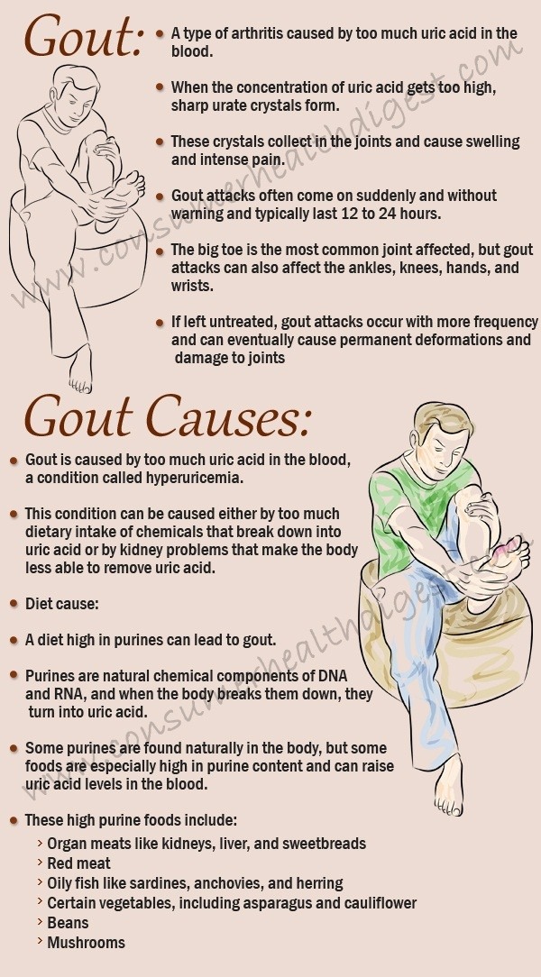 what diet is recommended for high uric acidgout quora