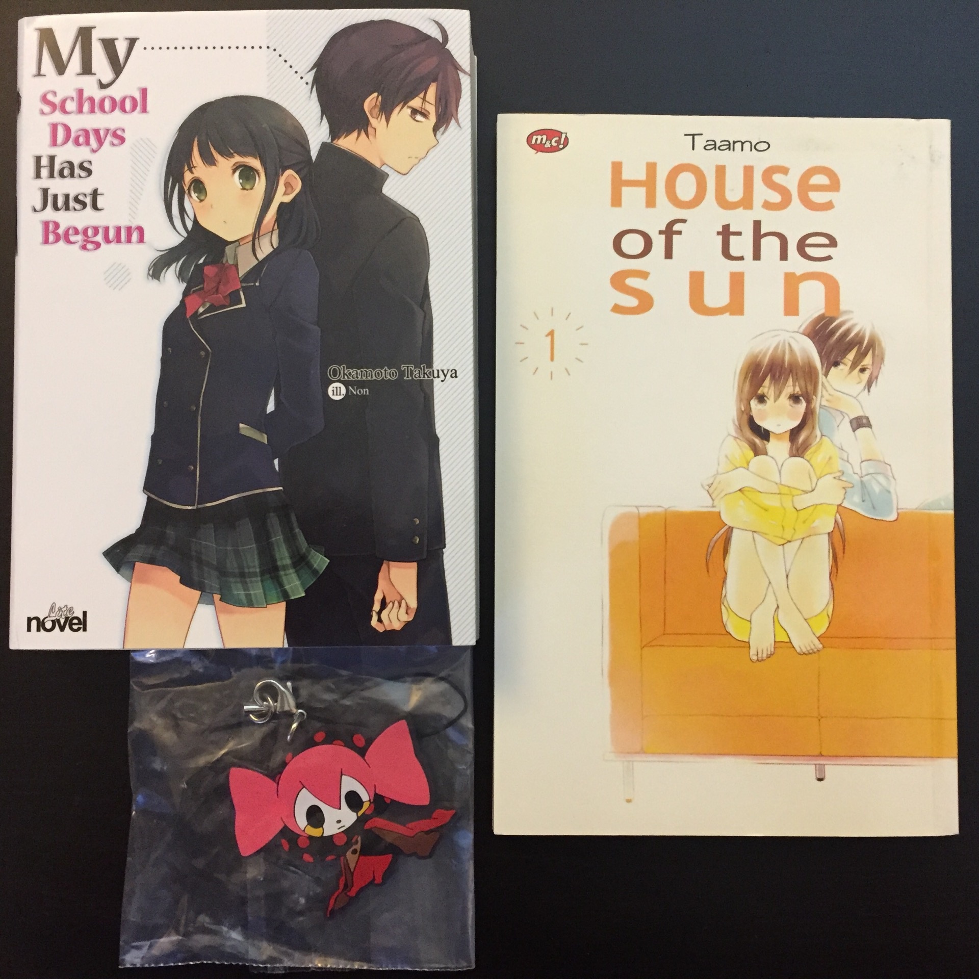 Mengapa di Indonesia tidak ada yang menjual novel ringan (light novel),  manga, atau produk anime lainnya? - Quora