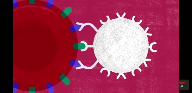 Mengapa orang dengan golongan darah O dapat mendonorkan darahnya pada golongan  darah mana saja (A, B, AB, O) tetapi ia hanya bisa menerima donor dari  golongan O saja? - Quora